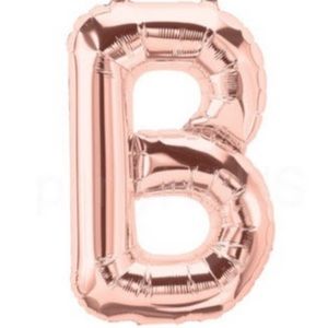 Meet your Posher, Blake